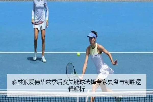 森林狼爱德华兹季后赛关键球选择专家复盘与制胜逻辑解析